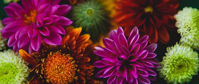 篮球勇士新签球员快速融入